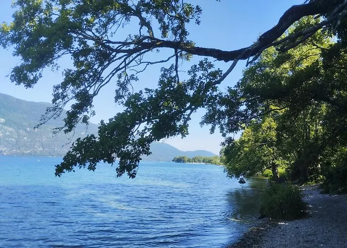 Marie Louise 3 étoiles Dans Maison De à 400m Du Centre Appartement